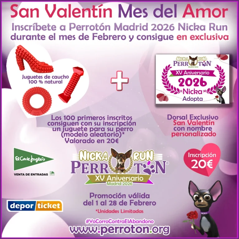 San Valentín Mes del Amor