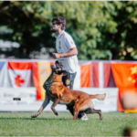 Copa de España de Adiestramiento Canino IGP