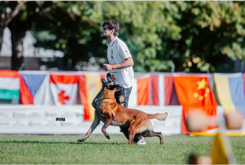 Copa de España de Adiestramiento Canino IGP