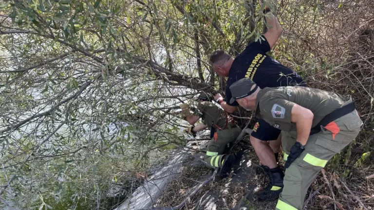 Bomberos de madrid en rescate de animales