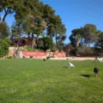 Residencia canina Ecocan
