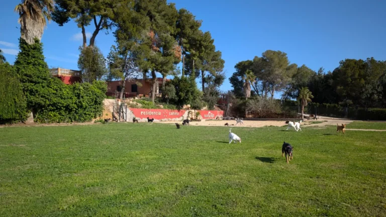 Residencia canina Ecocan