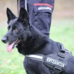 Unidad canina Ertzaintza