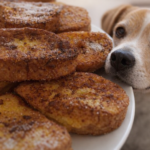 perro comiendo torrijas
