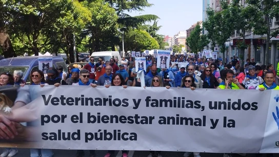Veterinarios y familias unidos por el bienestar animal
