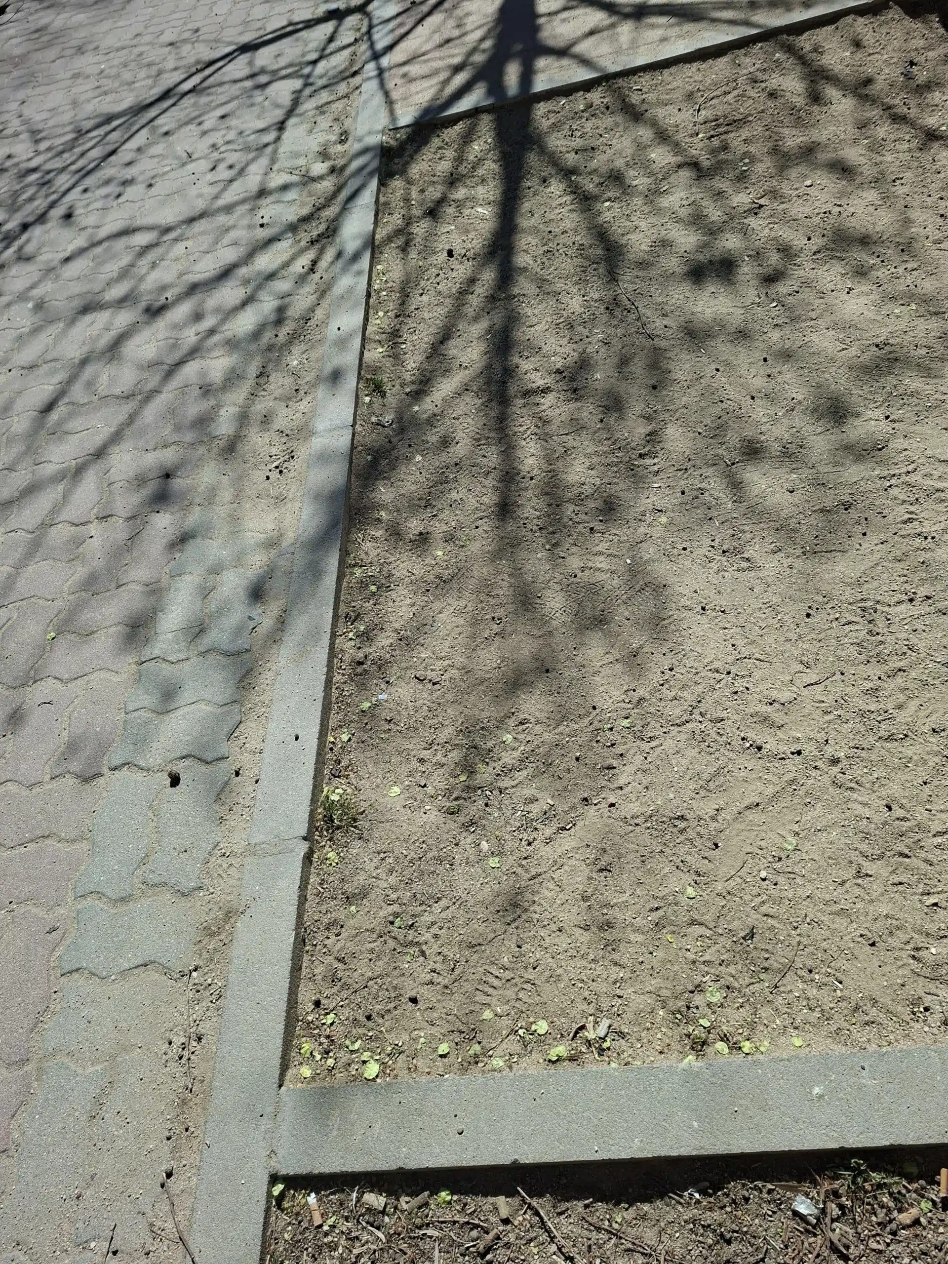 Área canina de Vistalegre