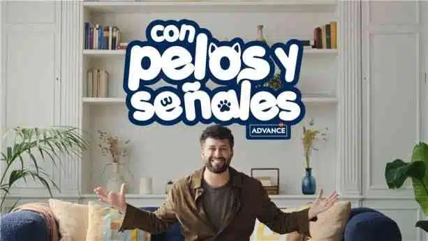 Advance y iboo agency eligen a Javi Hoyos para destapar la vida más íntima de los influencers con sus perros y gatos en «Con pelos y señales»