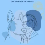 Maylo y el Autista