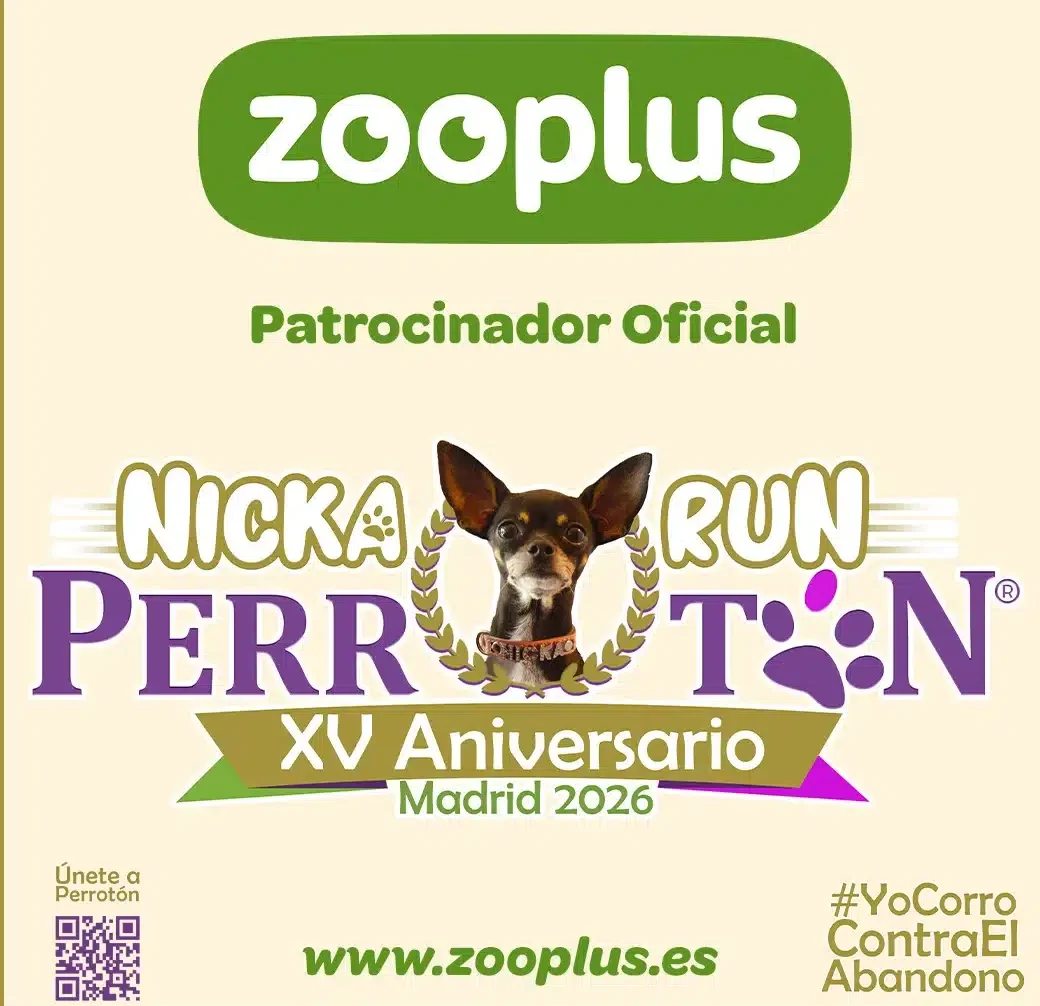 XV Aniversario Perrotón España