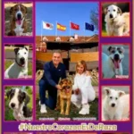 Sergio Scariolo y Alejandra Botto, Dia del Perro Sin Raza