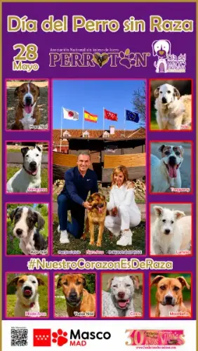 Sergio Scariolo y Alejandra Botto apoyan el Día del Perro sin Raza