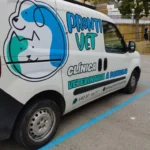 Prontivet ambulancia veterinaria a domicilio