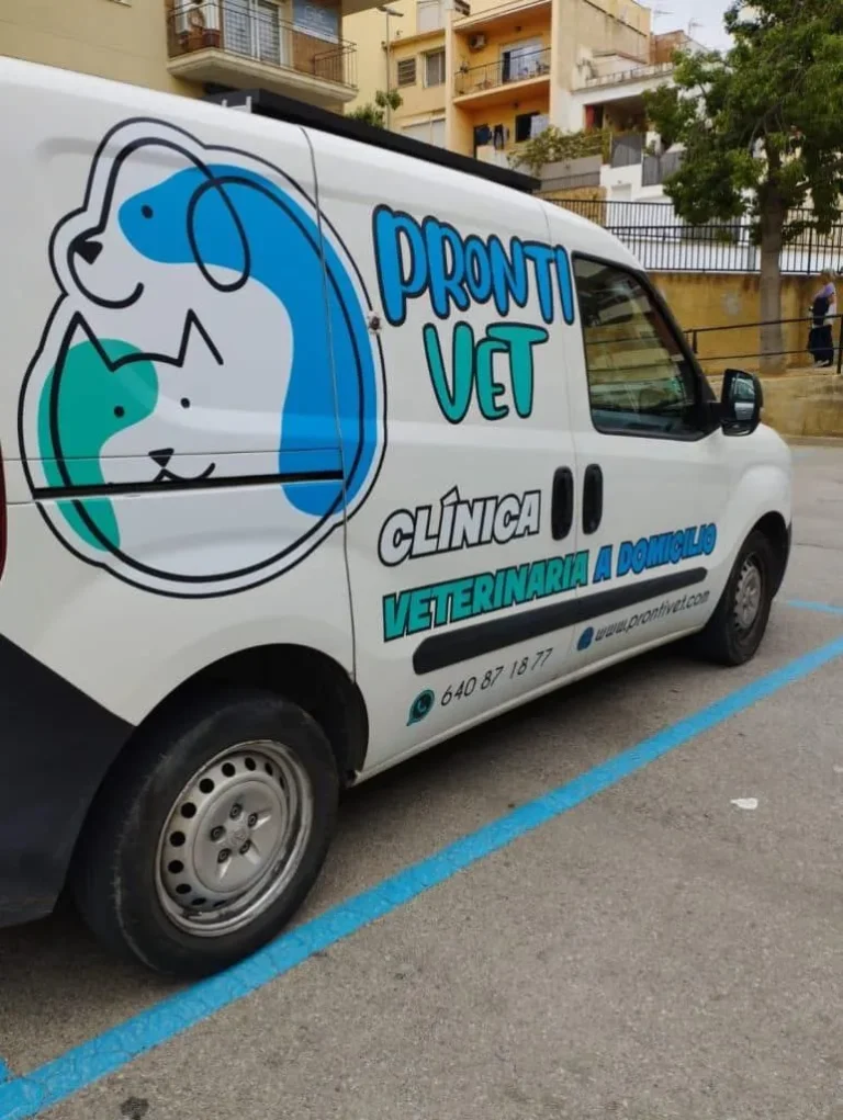 Prontivet ambulancia veterinaria a domicilio