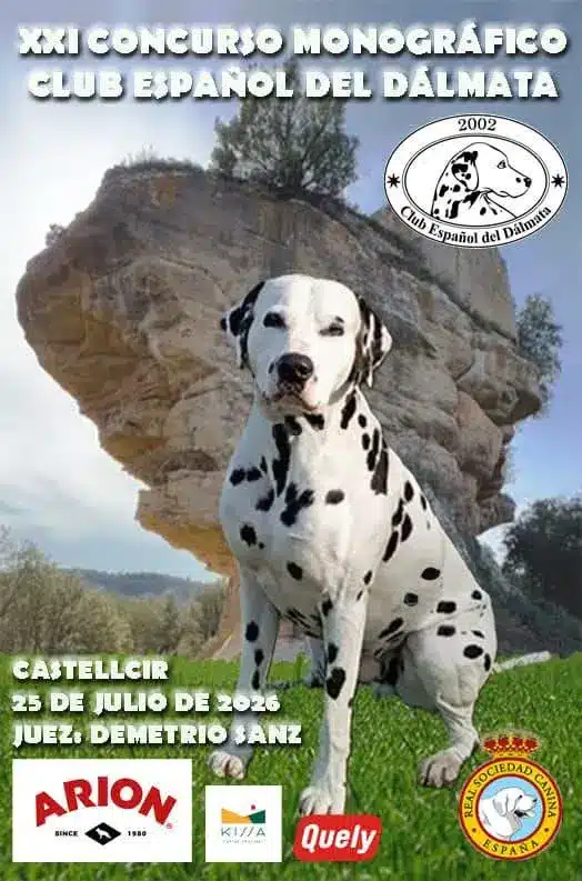 XXI Concurso Monográfico del Dálmata 2026 en Castellcir