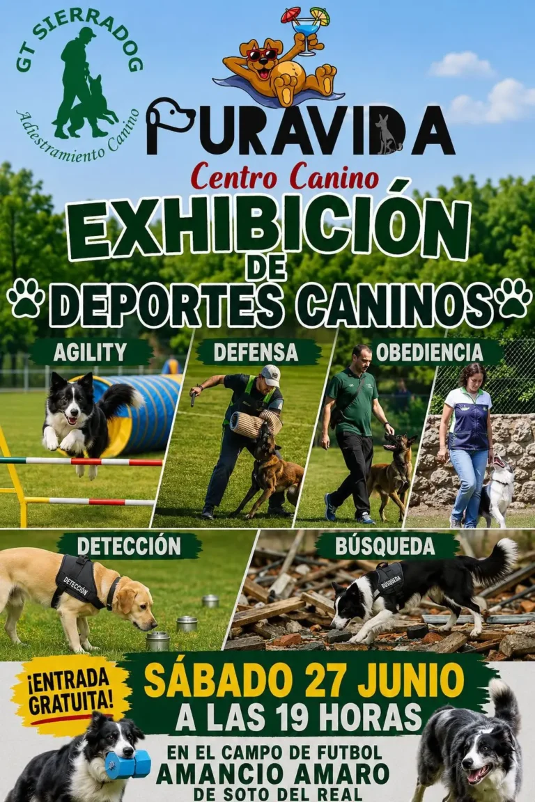 Exhibición de Deportes Caninos en Soto del Real