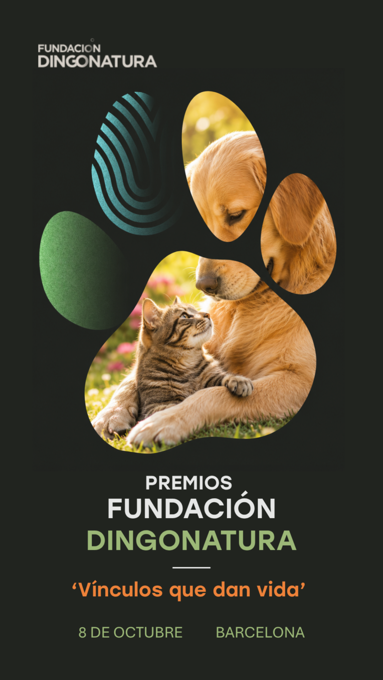 Fundación Dingonatura