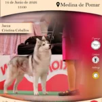 Monográfico de Husky Siberiano 2026