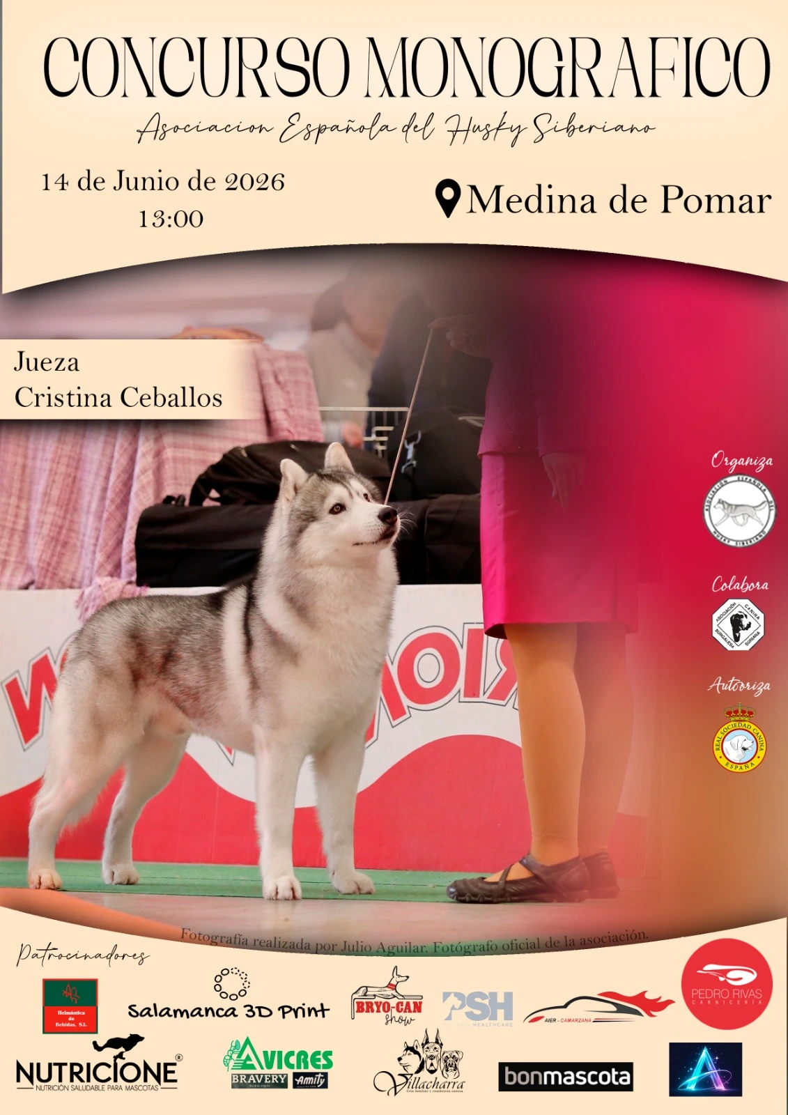 Monográfico de Husky Siberiano en Medina de Pomar