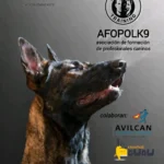 AFOPOLK9 seminario de odorología online