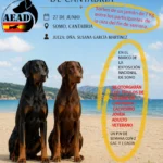 VIII Concurso Nacional AEAD de Cantabria 2026 en Somo