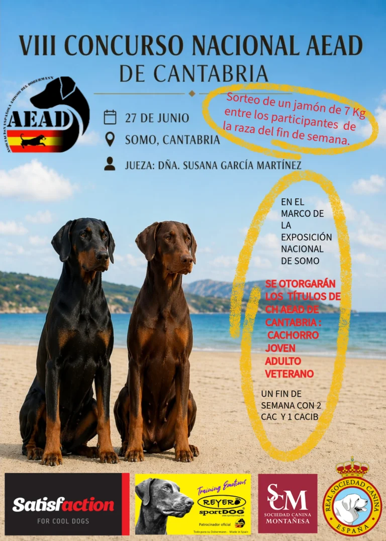 VIII Concurso Nacional AEAD de Cantabria 2026 en Somo