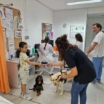 perros con niños durante extracciones de sangre