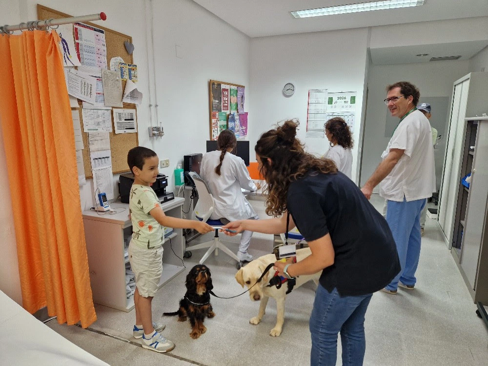 Proyecto con perros con niños durante extracciones de sangre en el Hospital Manacor