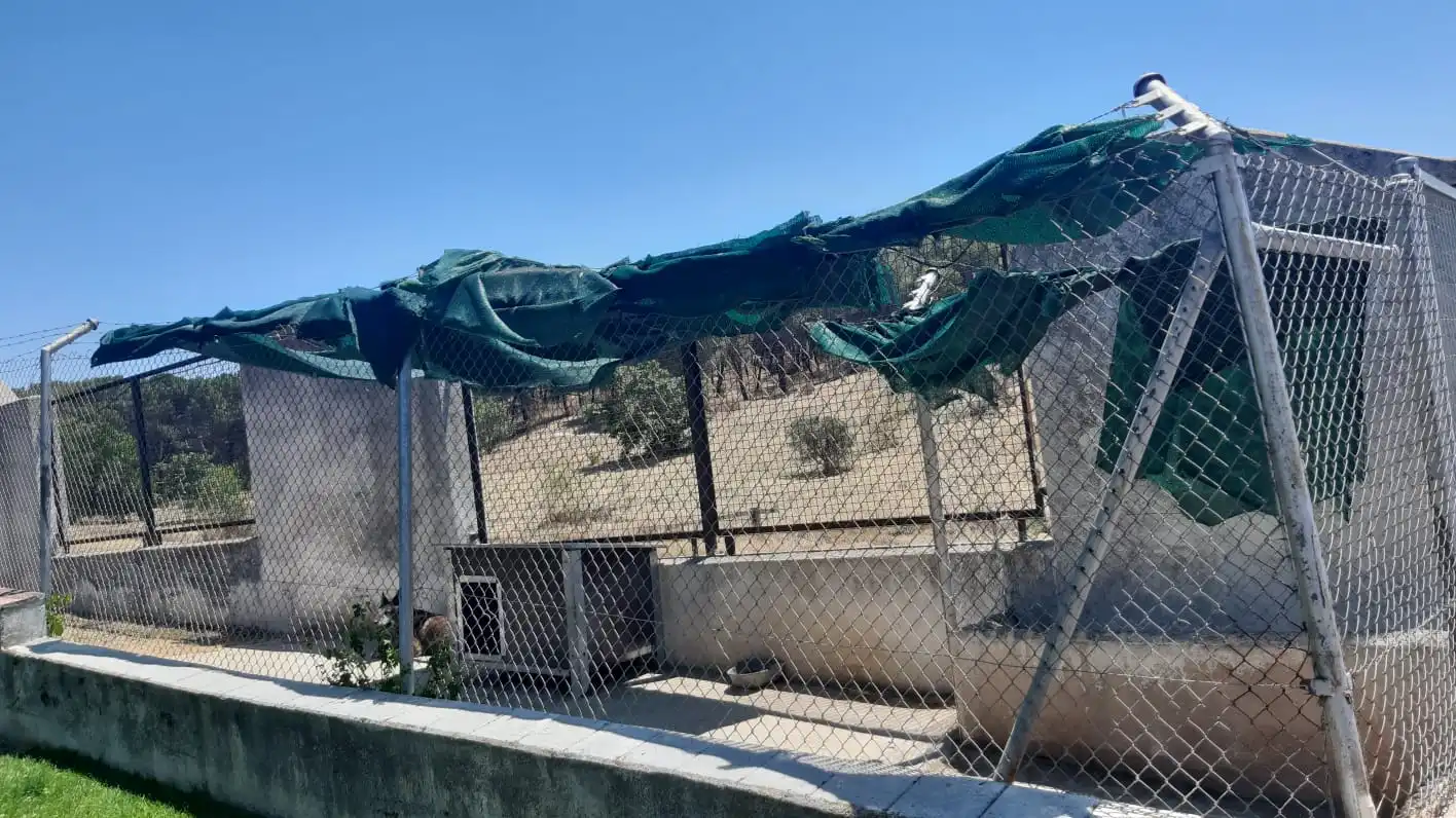 Marlaska gasta 733.000€ en jardinería en El Pardo
