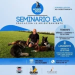 Empire Dog organiza Seminario EvA