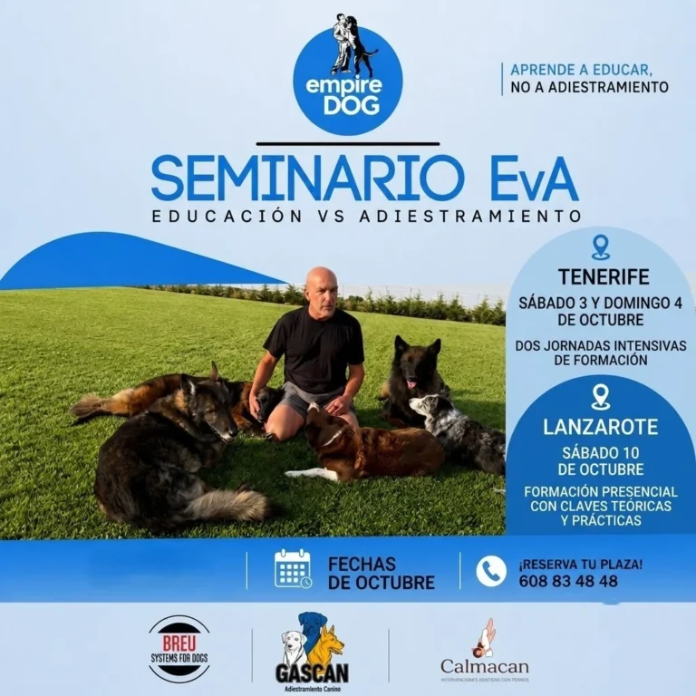 Empire Dog organiza Seminario EvA