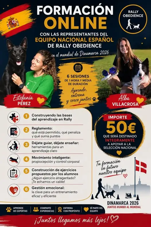 Formación online de Rally Obedience: Rumbo al Mundial 2026