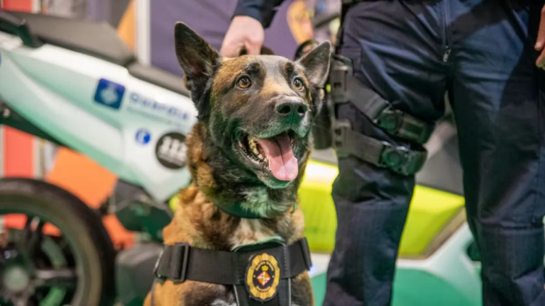 La Guardia Urbana de Barcelona amplía su Unidad Canina