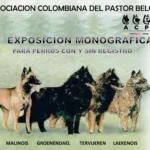I exposición monográfica