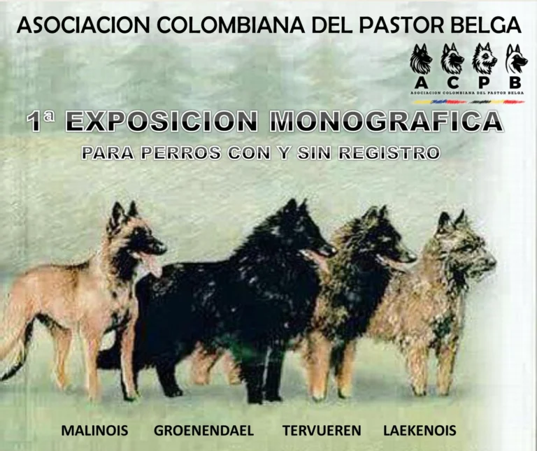 I exposición monográfica