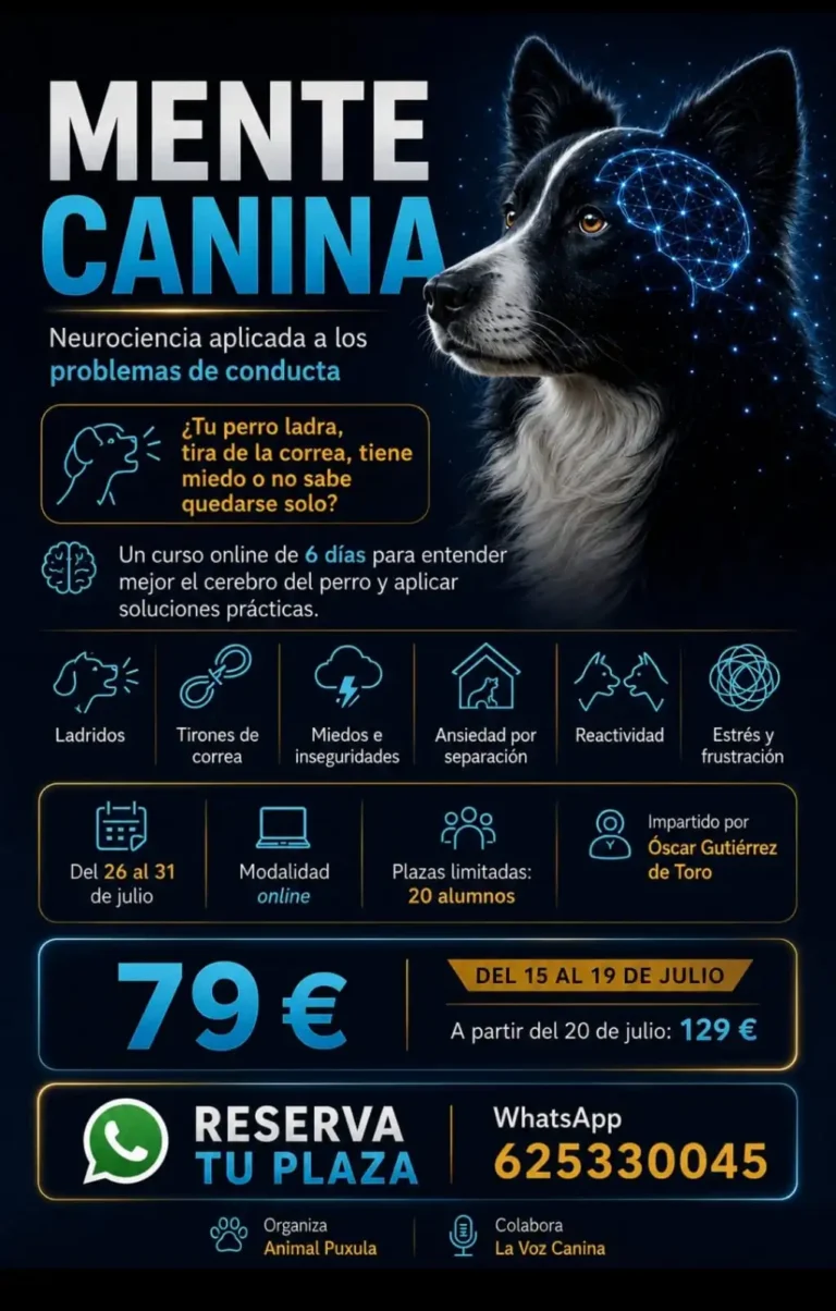 Mente canina