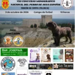 VIII Monográfico Nacional del Perro de Agua Español en Palencia 2026