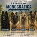 La Asociación Colombiana del Pastor Belga organiza la II Exposición Monográfica