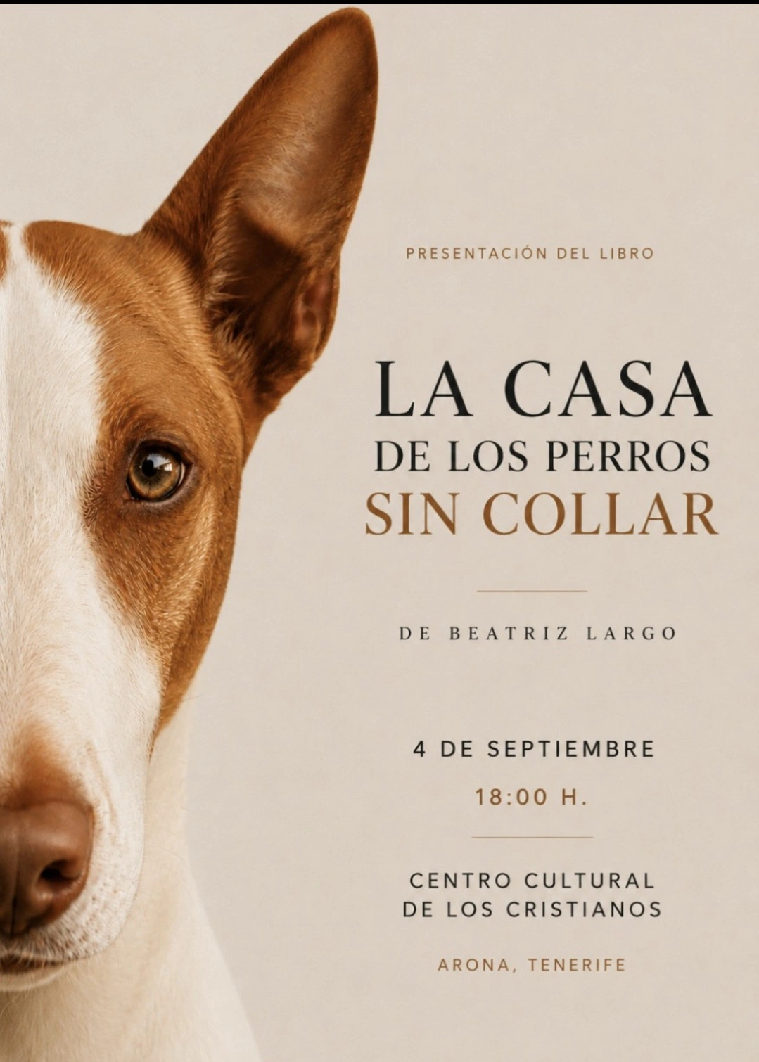 La Casa de los Perros sin Collar