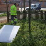 Aumento de garrapatas en verano