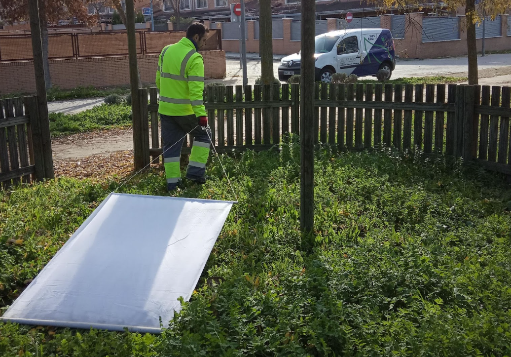 Rentokil detecta un aumento de garrapatas este verano