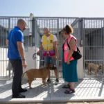 Voluntarios por Madrid