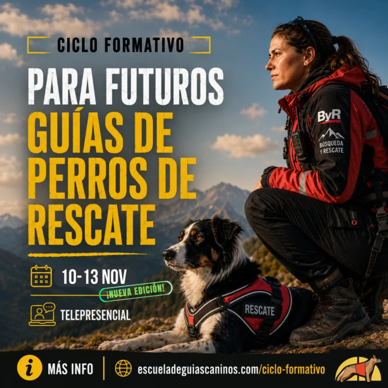 Ciclo Formativo para Guías de Perros de Rescate