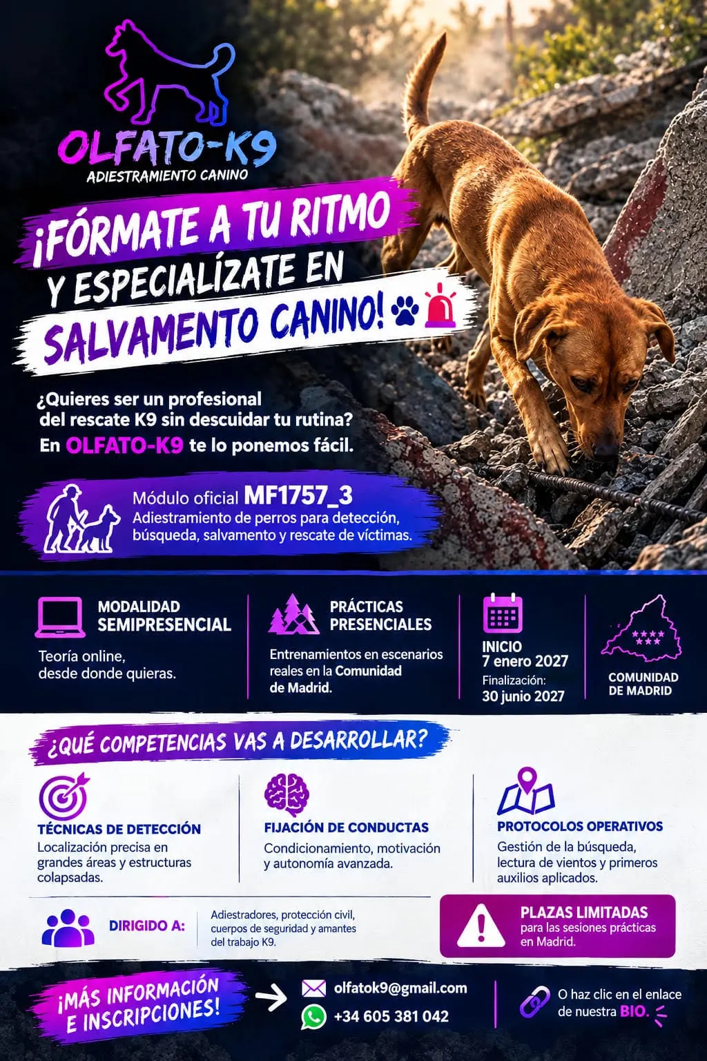 Curso de Adiestramiento de Perros de Rescate K9