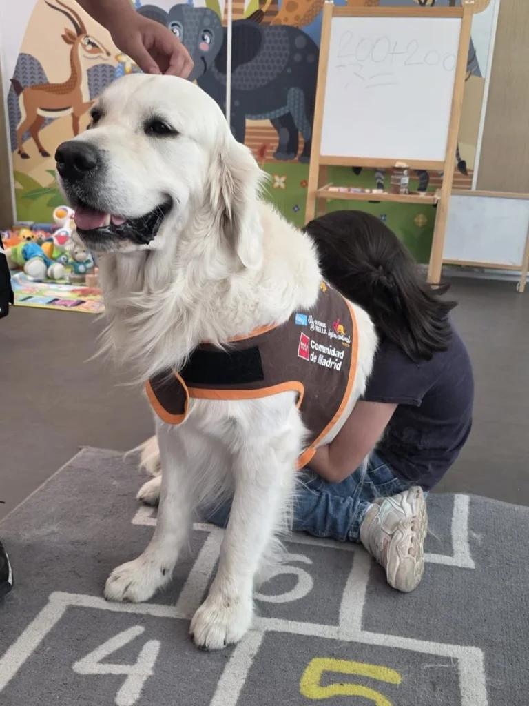 II Celebrity Pets Awards 2026