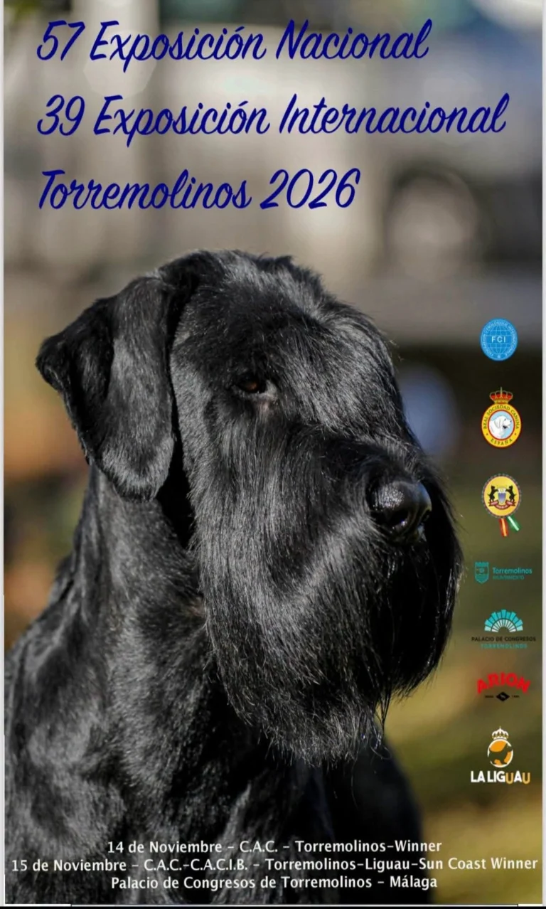 Descubre toda la información sobre la 57 Exposición Nacional y 39 Exposición Internacional de Torremolinos 2026.