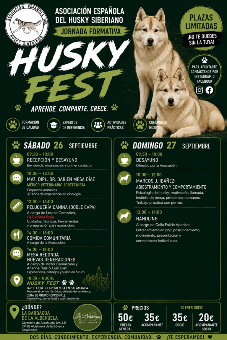 Husky Fest