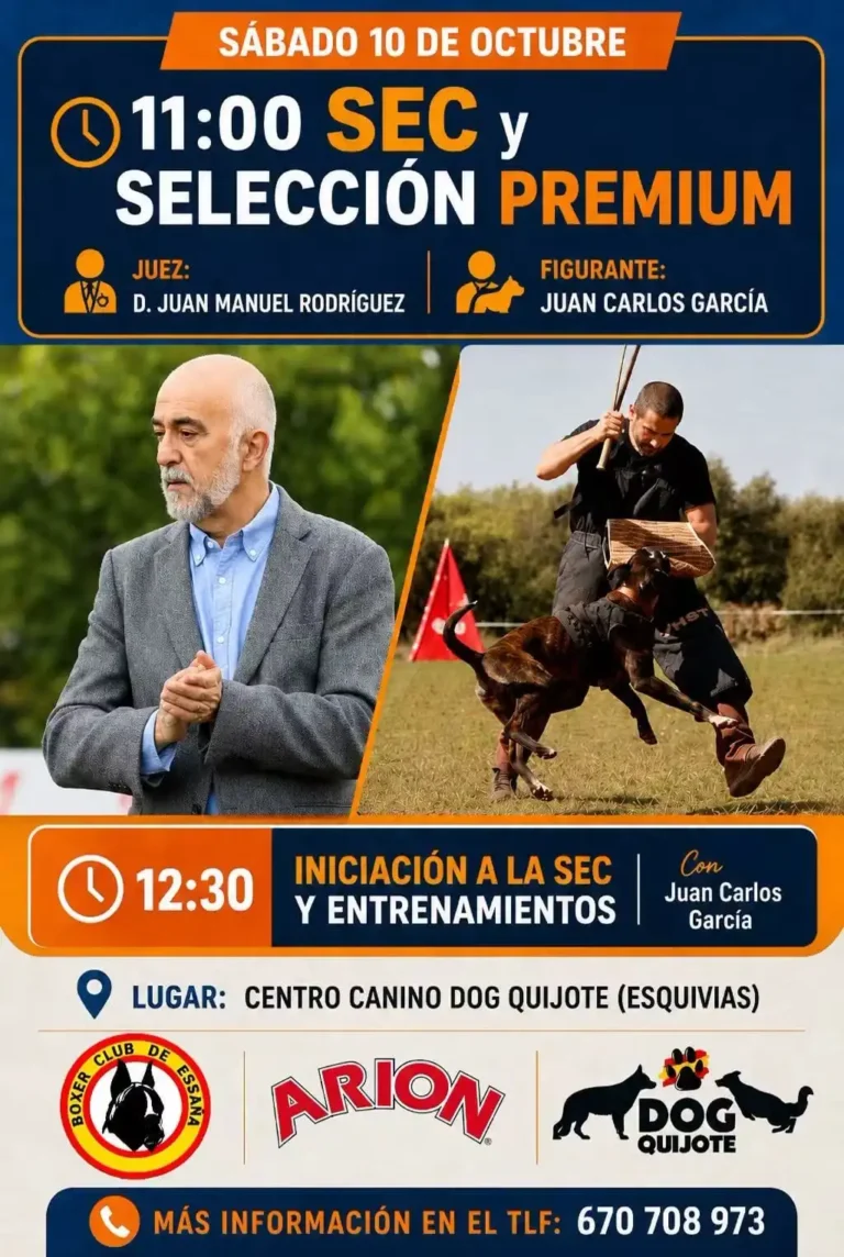 Iniciación a la SEC y entrenamientos