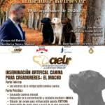La Asociación Española del Labrador Retriever organiza el XXVI Monográfico