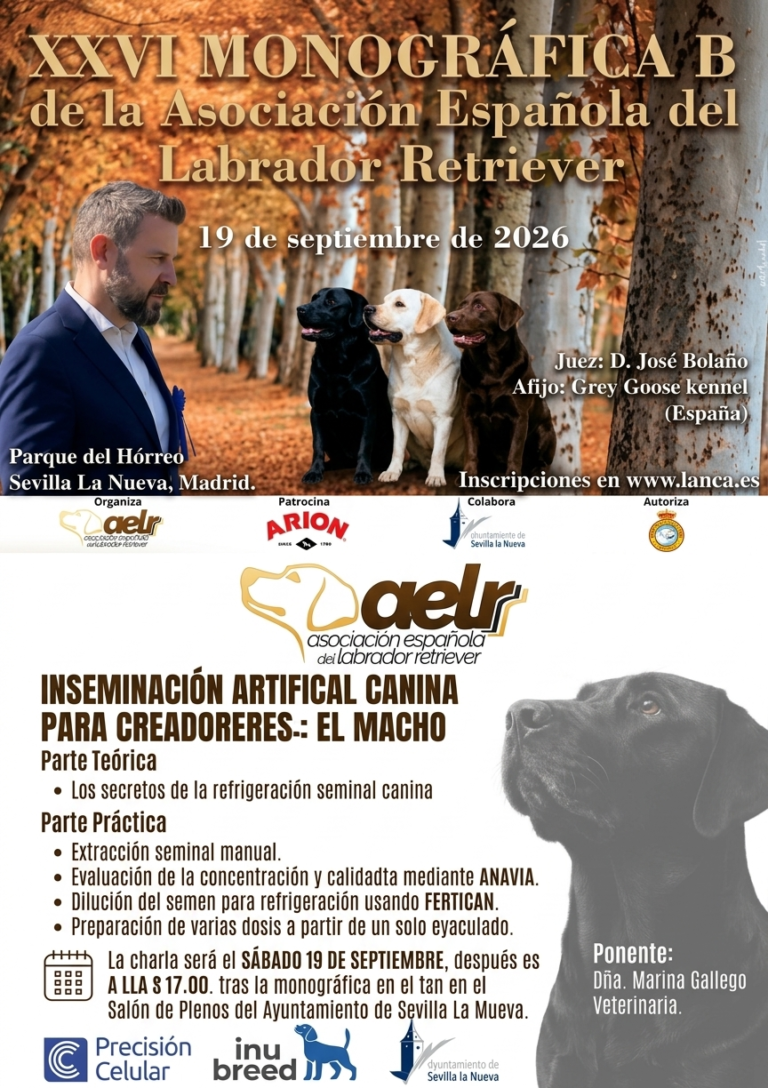 La Asociación Española del Labrador Retriever organiza el XXVI Monográfico