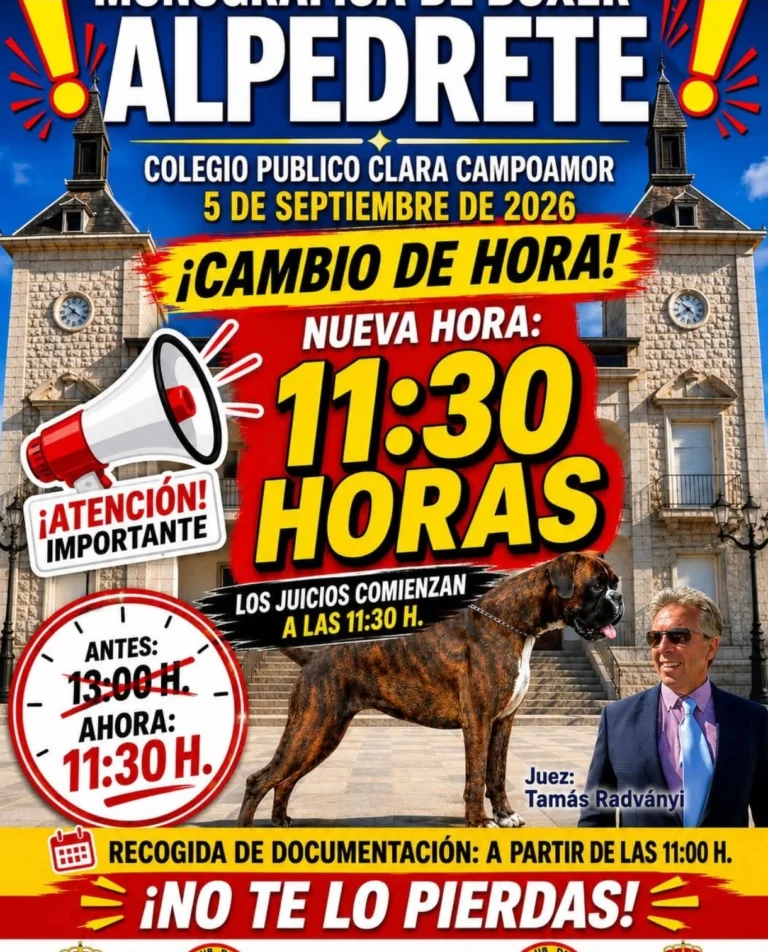 Monográfica del Bóxer en Alpedrete 2026